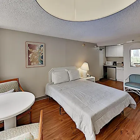 Delightful Hawaiian Monarch Studio
